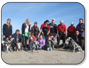 Welpentreffen an der Ostsee 2012